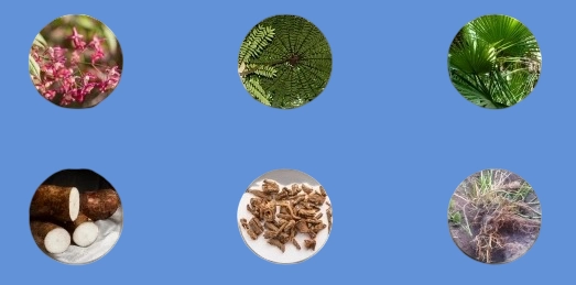 Gluco Recover Ingredients